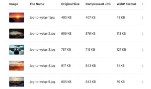 WebP là gì? Có ưu điểm gì? Cách thức hoạt động thế nào? (1)