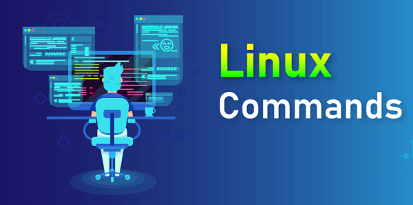 Tổng hợp 21 câu lệnh Linux mà ai cũng cần phải nhớ 2