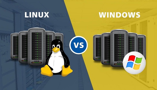 Hosting là gì? Tổng hợp các kiến thức cơ bản cần biết về hosting (3)