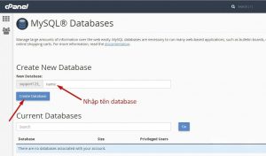 Cách tạo Database, User quản lý và phân quyền trong cPanel (2)