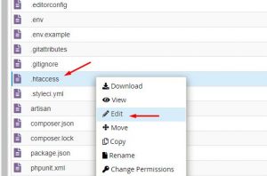 Cách upload Laravel lên hosting cPanel chính xác nhất (23)
