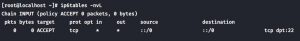 Hướng dẫn cài đặt và cách sử dụng Iptables để mở port VPS (3)