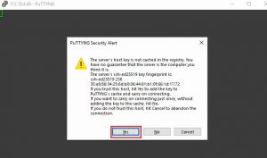 Hướng dẫn kết nối SSH vào server Linux với phần mềm PuTTY (2)