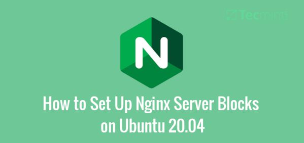  Hướng dẫn thiết lập nhiều domain máy chủ Nginx trên Ubuntu 20.04