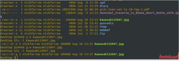 Một số quyền truy cập file và thư mục trên Linux bạn cần biết 3