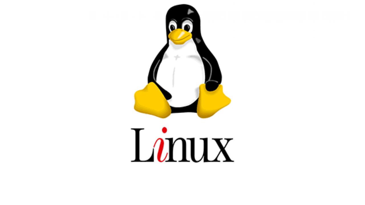  Các lệnh kiểm tra lượng RAM đã dùng trên Linux
