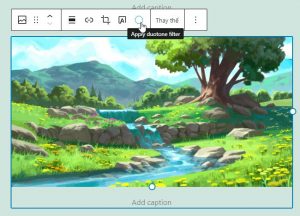  Wordpress 5.8 có gì mới? Version 5.8 có tính năng gì nổi bật? (10)