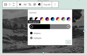 Wordpress 5.8 có gì mới? Version 5.8 có tính năng gì nổi bật? (11)
