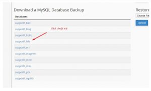 Cách sao lưu dữ liệu WordPress trên hosting cPanel (13)
