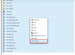 Cách sao lưu dữ liệu WordPress trên hosting cPanel (6)