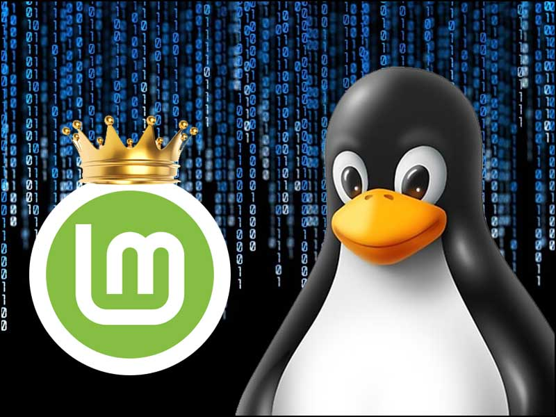  Linux là gì? Nên sử dụng phiên bản Linux nào tốt nhất?
