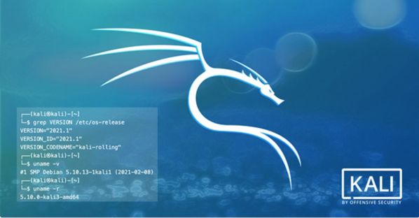 Kali Linux 2022.1 vừa ra mắt, có những cập nhật gì mới? 3