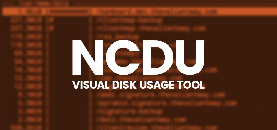  Cách kiểm tra dung lượng ổ cứng Linux bằng lệnh ncdu