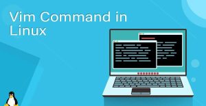 Cách sử dụng Vim trong Linux? Lệnh Vim trong Linux?