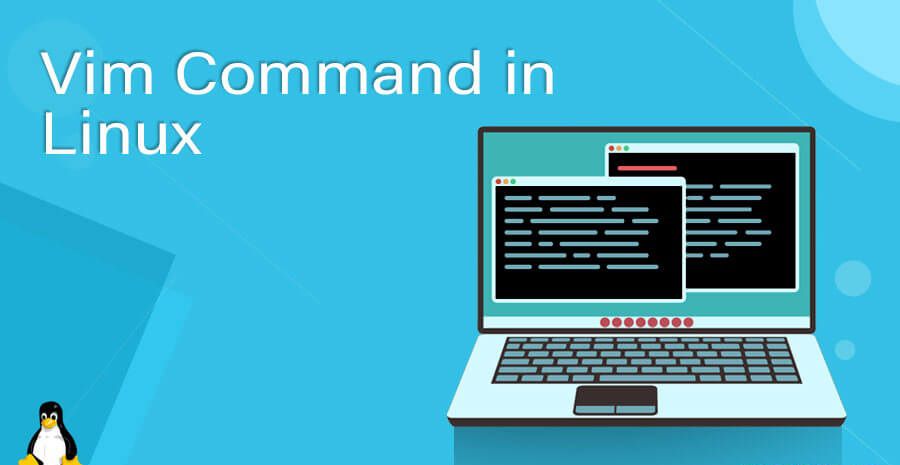  Cách sử dụng Vim trong Linux? Lệnh Vim trong Linux?