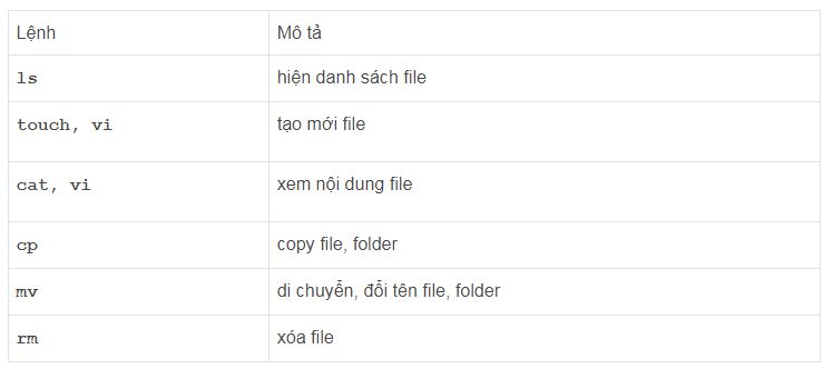 Hướng dẫn cách quản lý file trong Linux cơ bản nhất (1)