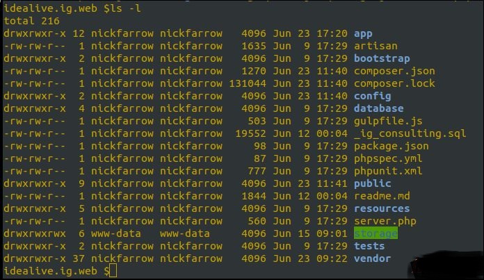 Hướng dẫn cách quản lý file trong Linux cơ bản nhất (3)