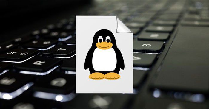  Hướng dẫn cách quản lý file trong Linux cơ bản nhất