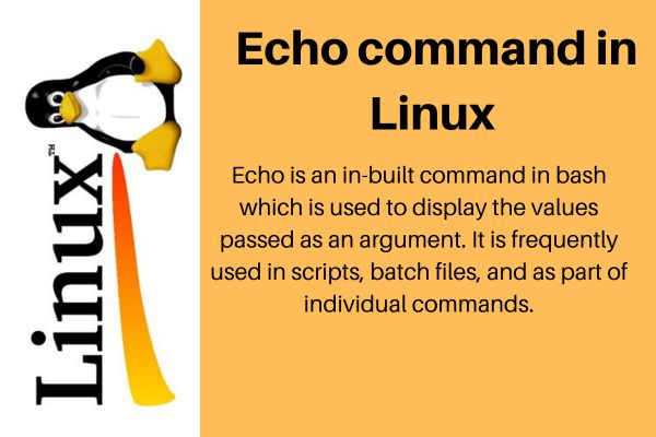 Hướng dẫn cách sử dụng lệnh "echo" trong Linux đầy hữu ích
