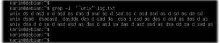Hướng dẫn cách sử dụng lệnh Grep trên Debian 10 chi tiết 10