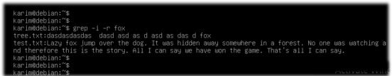 Hướng dẫn cách sử dụng lệnh Grep trên Debian 10 chi tiết 2