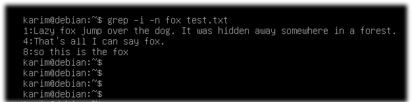 Hướng dẫn cách sử dụng lệnh Grep trên Debian 10 chi tiết 5