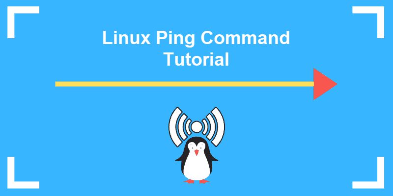  Hướng dẫn cách sử dụng lệnh ping trong Linux