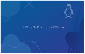Hướng dẫn sử dụng lệnh rm trong Linux