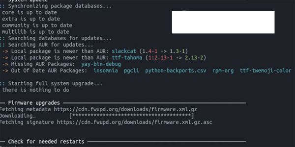 Hướng dẫn sử dụng Topgrade để nâng cấp hệ thống Linux 1