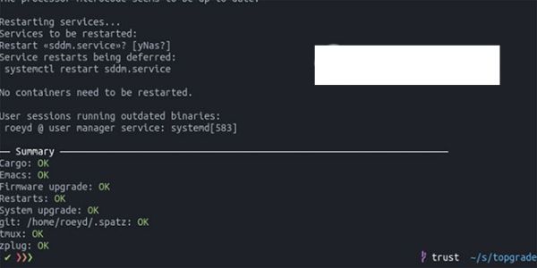 Hướng dẫn sử dụng Topgrade để nâng cấp hệ thống Linux 2