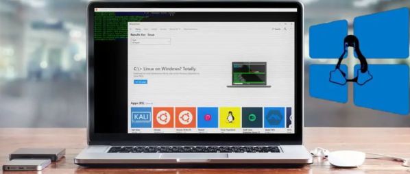  Tại sao bạn nên sử dụng Linux desktop thay vì WSL?