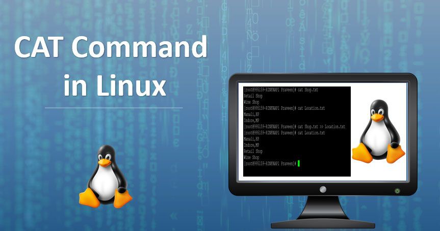 Lệnh Cat trong Linux: Cú pháp và cách dùng cụ thể
