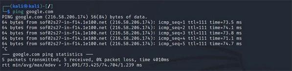 Tổng hợp 10 lệnh quản lý mạng và cài đặt DNS trong Linux 5