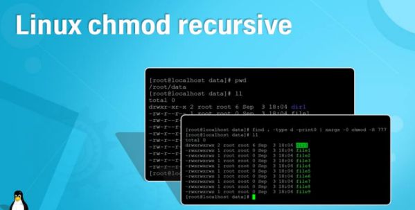Chmod là gì và cách phân quyền truy cập file bằng lệnh chmod 1
