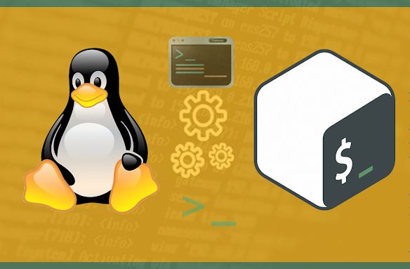  Hướng dẫn cách sử dụng vòng lặp Until trong Shell Script