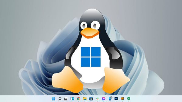  Sao chép dán file, thư mục từ dòng lệnh Linux bằng cách nào?