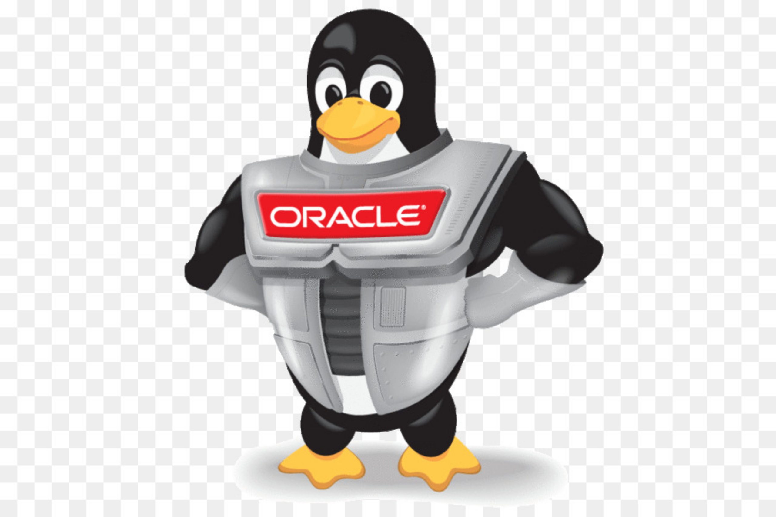  Oracle Linux là gì? Tại sao doanh nghiệp nên cài đặt Oracle Linux?