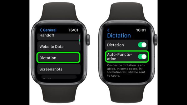Bật mí 20 tính năng mới trên hệ điều hành watchOS 9‌ 15