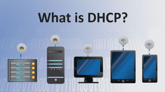  DHCP là gì? Toàn tập về DHCP Server mà bạn chưa biết