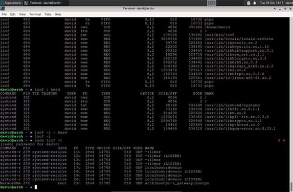 Dùng lsof để theo dõi file đang mở trên Linux như thế nào? 1