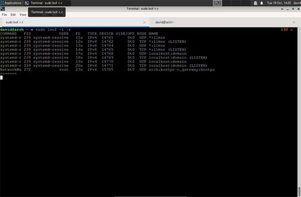 Dùng lsof để theo dõi file đang mở trên Linux như thế nào? 2
