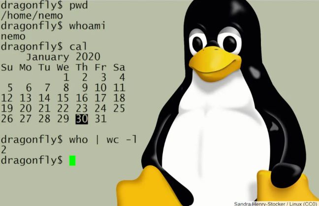  Lý giải vì sao mọi người lại thích sử dụng dòng lệnh Linux