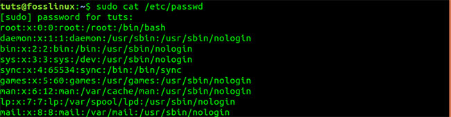 UID trong Linux là gì? Hướng dẫn cách tìm và thay đổi UID 1