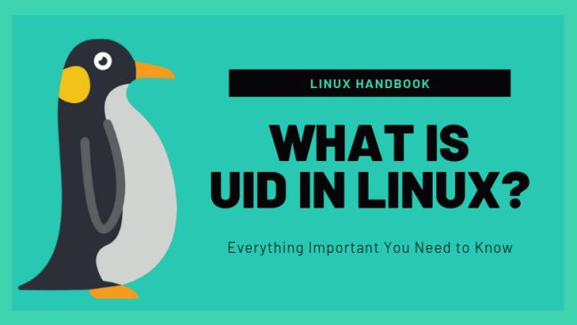  UID trong Linux là gì? Hướng dẫn cách tìm và thay đổi UID