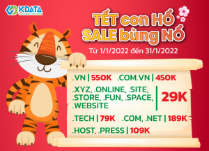  Siêu SALE bùng nổ, hàng loạt DOMAIN giá chỉ từ 29K