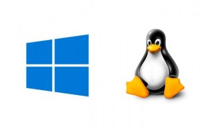  Chọn Windows Hosting hay Linux Hosting cho website, cái nào tốt hơn?