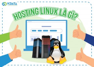  Hosting Linux là gì? Vì sao Hosting Linux là lựa chọn số 1 cho website?