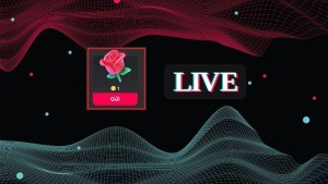  1 bông hồng TikTok bao nhiêu tiền? Chi tiết cách tặng và điều kiện nhận hoa hồng