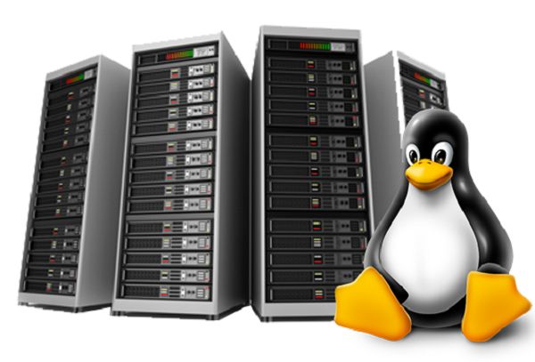 Hosting Linux và Hosting Windows khác nhau ở điểm nào?2