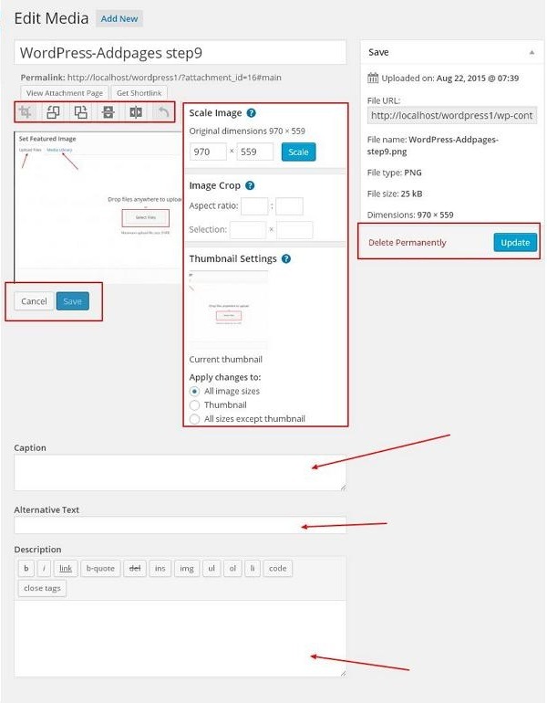 Thực hiện thay đổi background WordPress như thế nào?